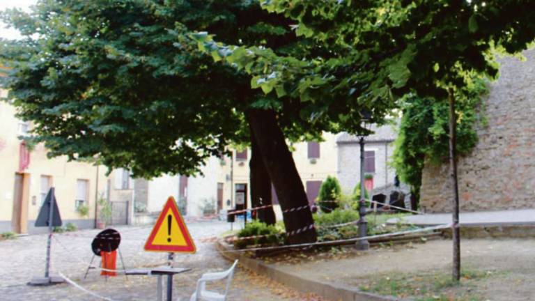 Monteleone: la disfida del tiglio pendente porta venti di secessione