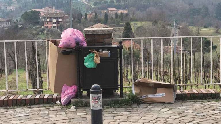 Cesena, il panorama del Monte offeso dai rifiuti