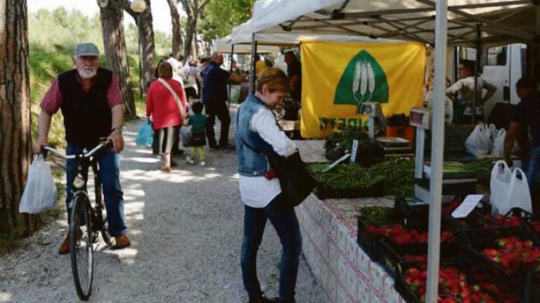 Cesena: il mercatino dei produttori agricoli si sposta temporaneamente dall'area del lungo fiume alla zona dello Stadio