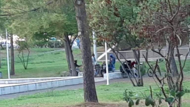 Dopo la rapina il comitato chiede altri lavori al parco di Cesena