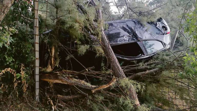 Borghi, un'auto vola nel giardino di una casa: sos per la strada pericolosa