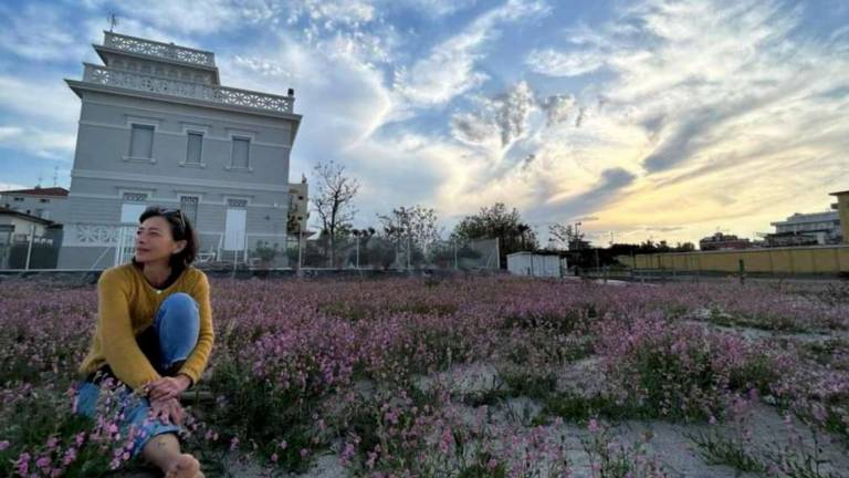 Rimini, un giardino spontaneo fra le sabbie private a Viserbella