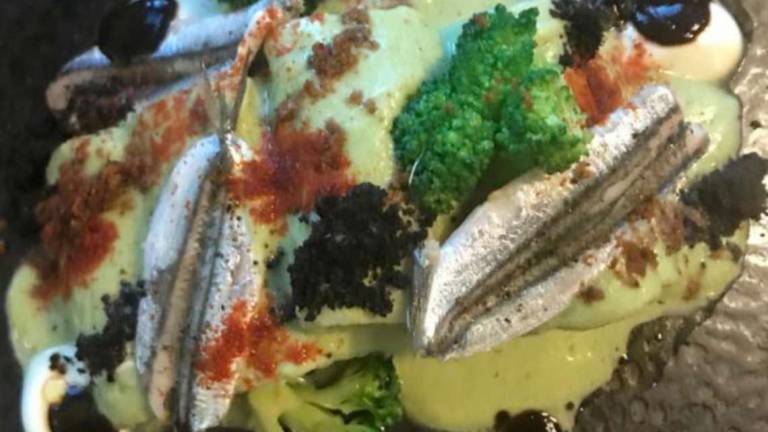 E' stagione di sardoni, la pesca e la cucina del pesce azzurro