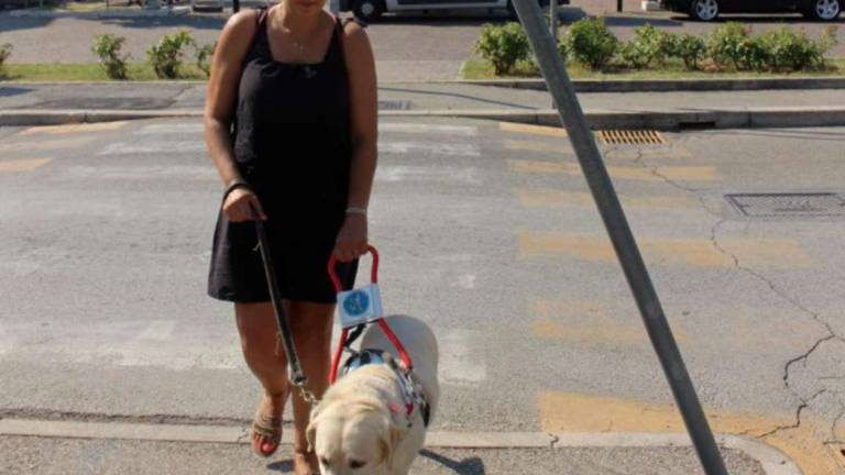 Savignano, sbatto sui pali storti e i monopattini sul marciapiede: l'odissea di una non vedente - Gallery