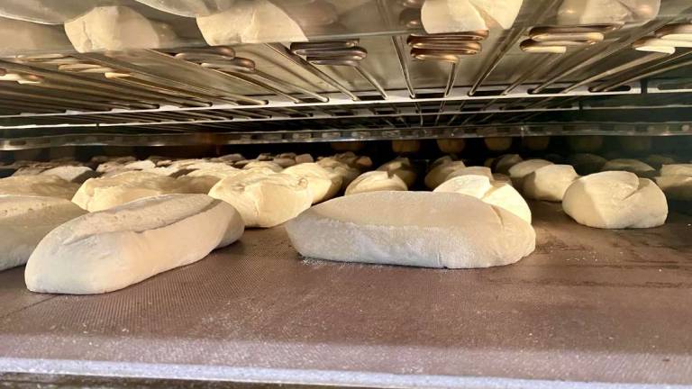 Cesena: guerra e rincari strozzano anche la filiera del pane