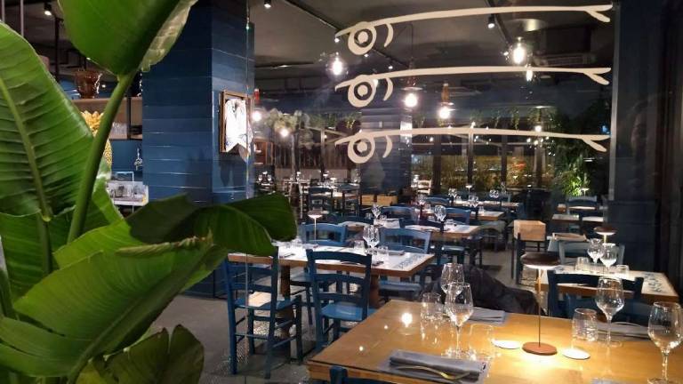 Losteria del pesce a Riccione, cucina di mare e gluten free