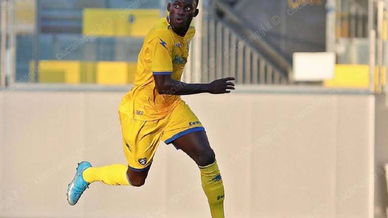 Calcio C, il Rimini comincia a prendere forma