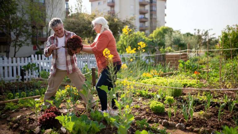 L’dea: far nascere a Rimini un Parco dell’agricoltura