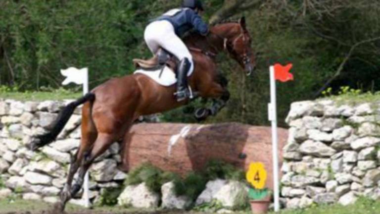Ravenna, un pony la fa cadere alla gara di equitazione: il responsabile dovrà pagare