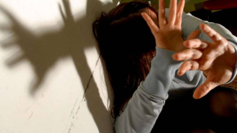 Rimini, accusa il padre di violenza. La psicologa: lei non può testimoniare