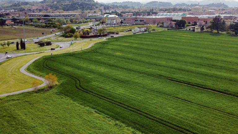 Cesena, il Tar cancella la scadenza per costruire case