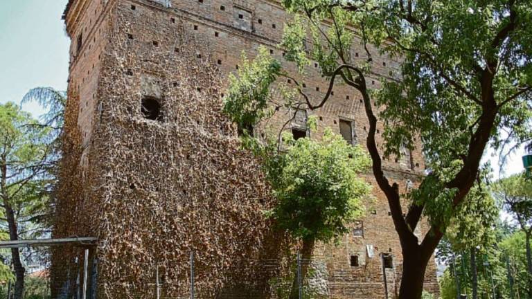 Cesena, palazzaccio: lavori anti-crolli ma il comitato vuole di più