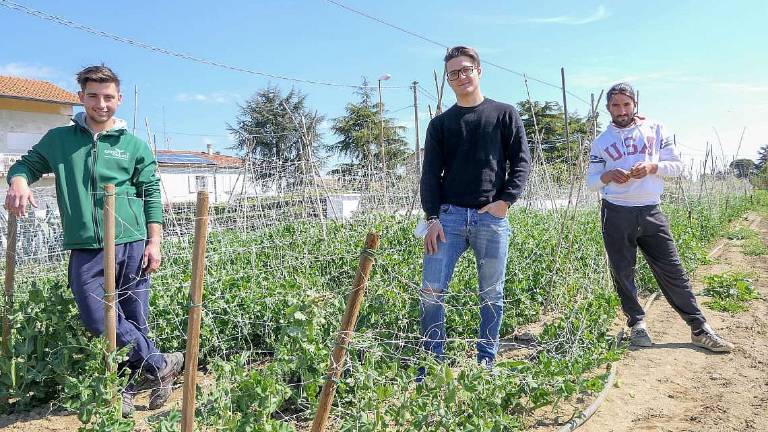 Un nuovo sistema agricolo: quattro ragazzi e un Green project