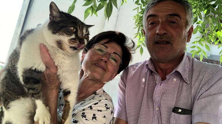 Ravenna, dal 1989 è la nostra gioia: ecco Patata, una gatta di 32 anni