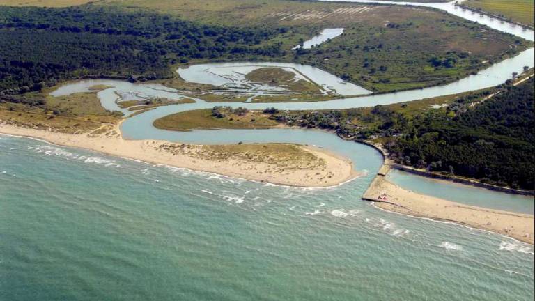 Ravenna, il racconto della guida aggredita dai vongolari: Quattro o cinque schiaffoni al volto