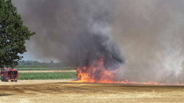 Il meteorologo: In Romagna c'è il clima della Puglia di 40 anni fa