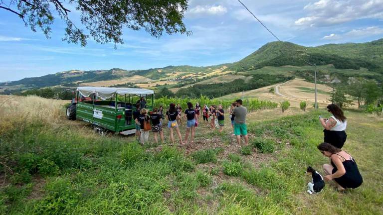 Pasquetta e agriturismi pieni: Ma il personale non si trova