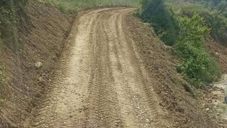Imola, costruita una via in sei ore per salvare quintali di latte: Il nostro mondo non esiste più