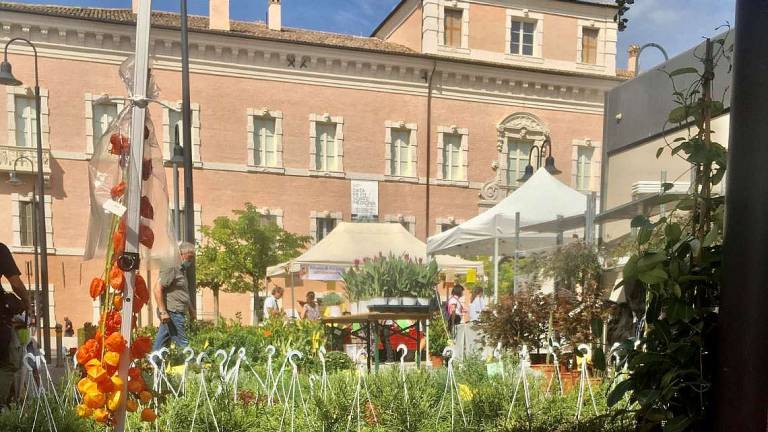 Ravenna in Fiore: il centro diventa un giardino