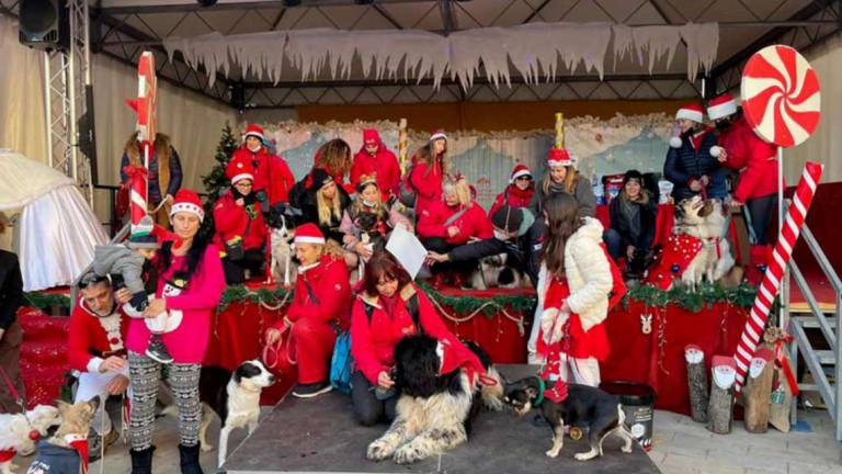 Cervia, la sfilata di Natale con cani e gatti