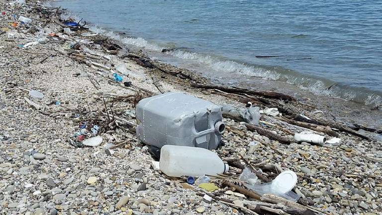 Le plastiche gettate in mare si concentrano poi lungo le coste