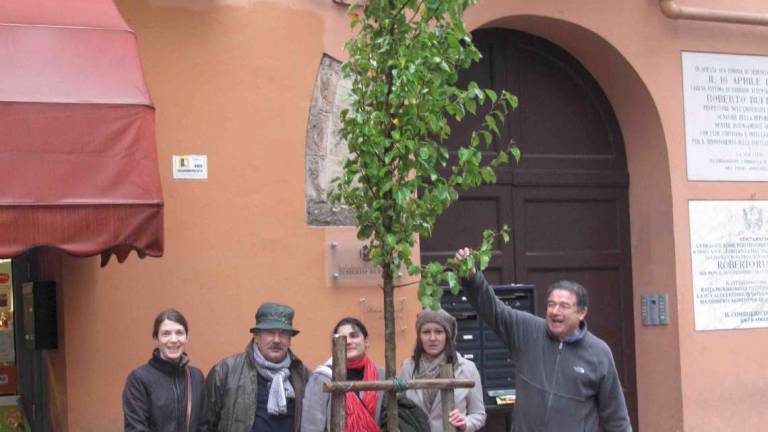 Forlì, l'albero della Libertà: vittoria per Turrini