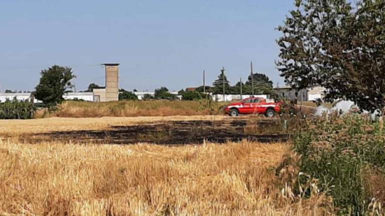 Cesena: fuoco doloso nei campi di via Viola di Martorano