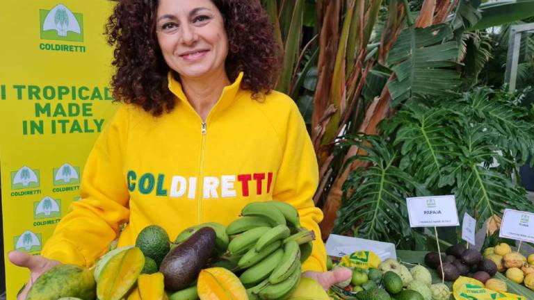 Cambiamenti climatici: avocado e mango sono “made in Italy”