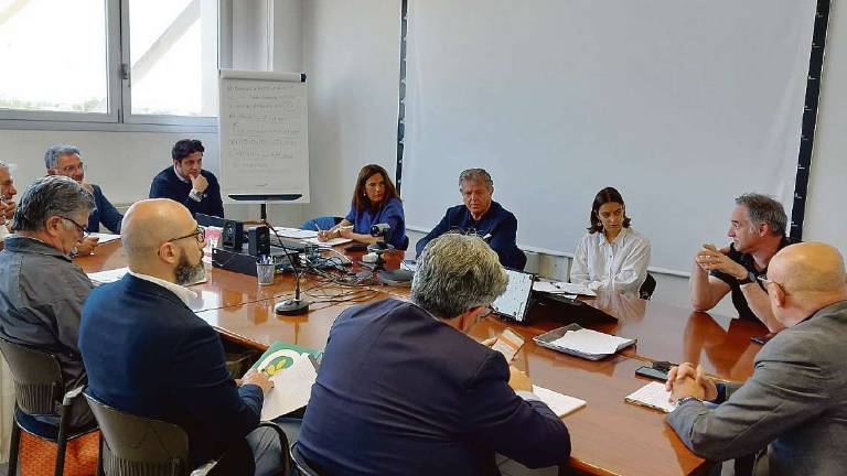 Rimini, frutta e verdura, Indino: Speculazioni dall'estero, rischio aumenti