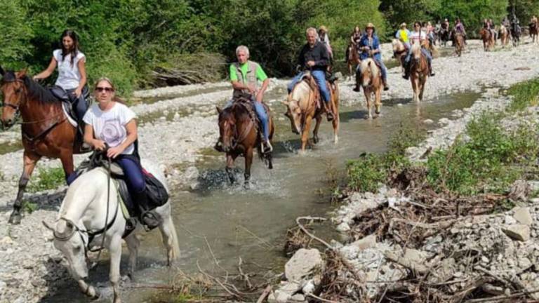 Fare turismo a cavallo in Emilia-Romagna: le mete più suggestive