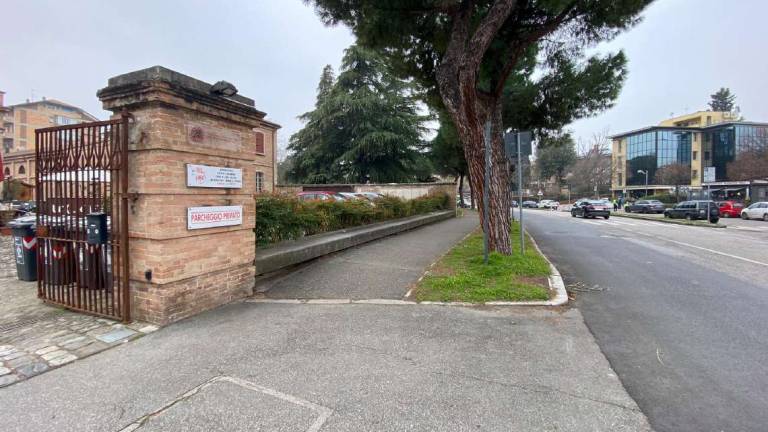 Cesena, maestra investita e insultata: caccia al monopattino pirata