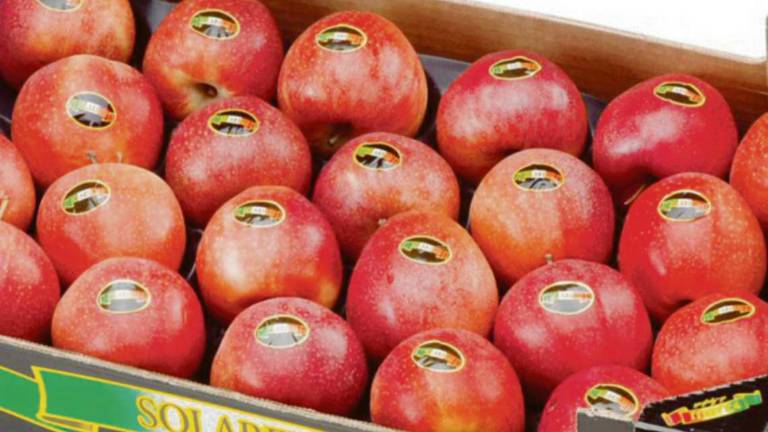 Cesena, il gelo taglia la quantità di frutta ma non le liquidazioni