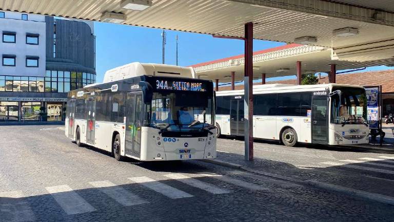 Cesena, autista del bus aggredito: «Mi ha preso a pugni e a calci»