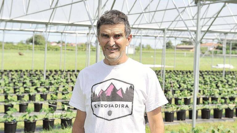 Cesena, 59enne lascia lavoro fisso per coltivare lamponi e mirtilli