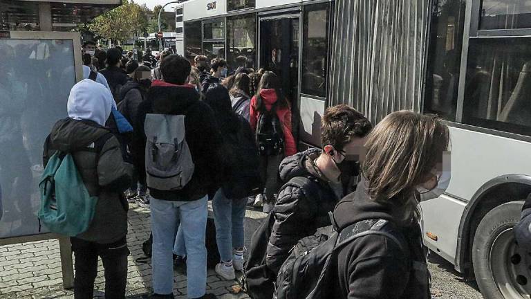 Rimini, l'appello: maniaco sul bus, chi ha subito molestie denunci