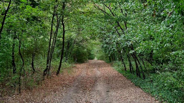 Giornate d'autunno del Fai in Romagna