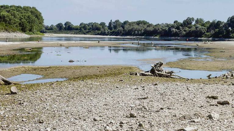 Vincenzi Da Piacenza a Rimini manca l’80% dell’acqua