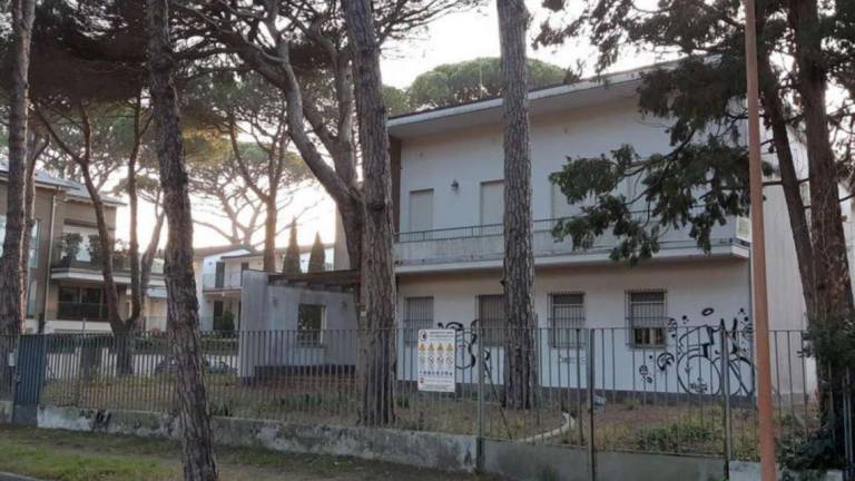 Milano Marittima, abbattuti sei pini e una quercia per fare spazio a nuove case