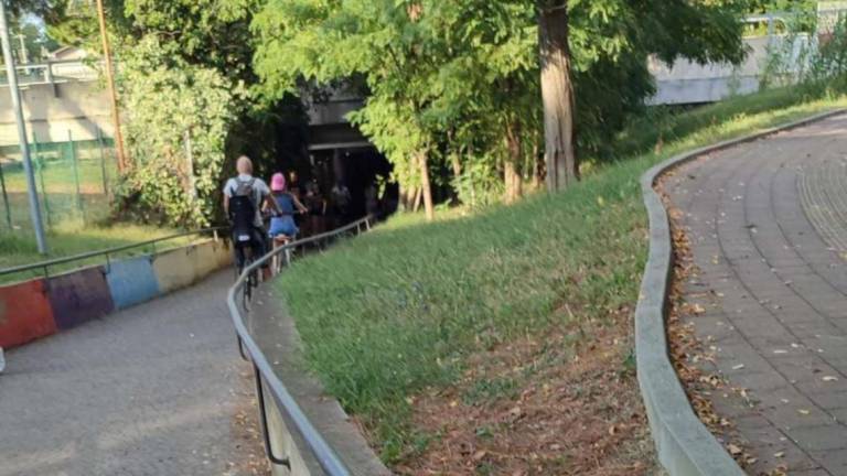 Rimini, donna di 80 anni aggredita e rapinata al parco in pieno giorno: I passanti indifferenti