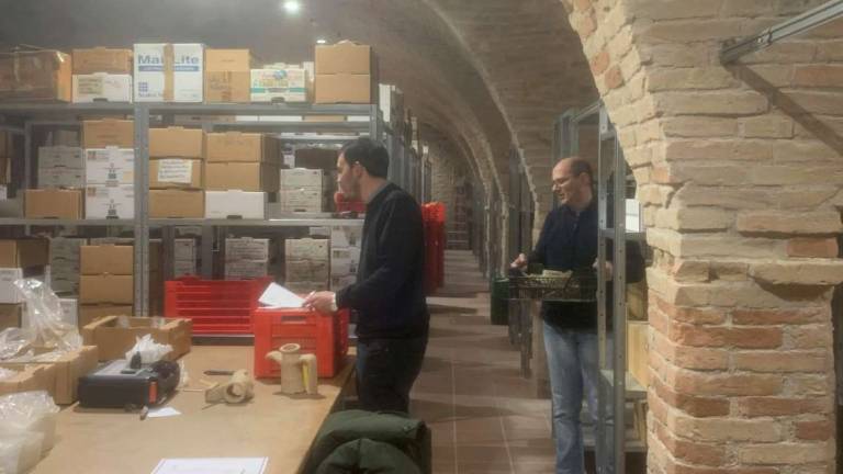 Cesena, attesa e dubbi per il museo nel gruppo archeologico