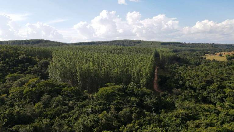 Il business della sostenibilità, l’impresa aiuta l’ambiente