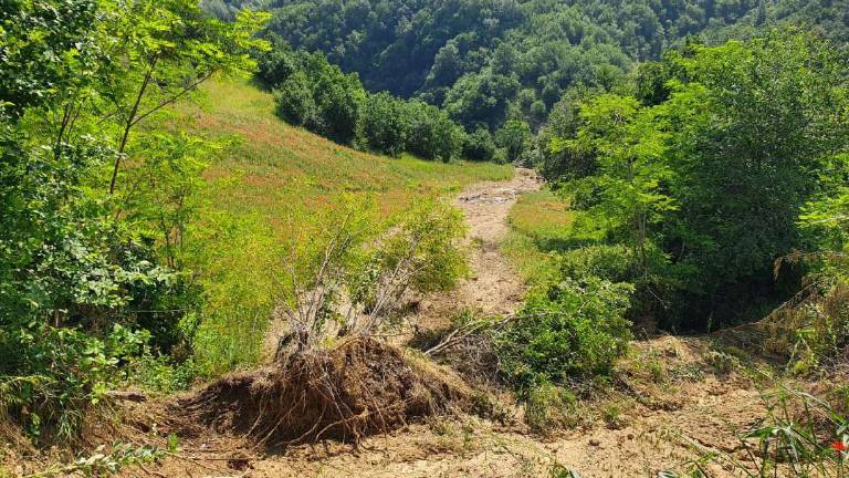 Monito degli agricoltori: «A Montetiffi la frana si poteva evitare»