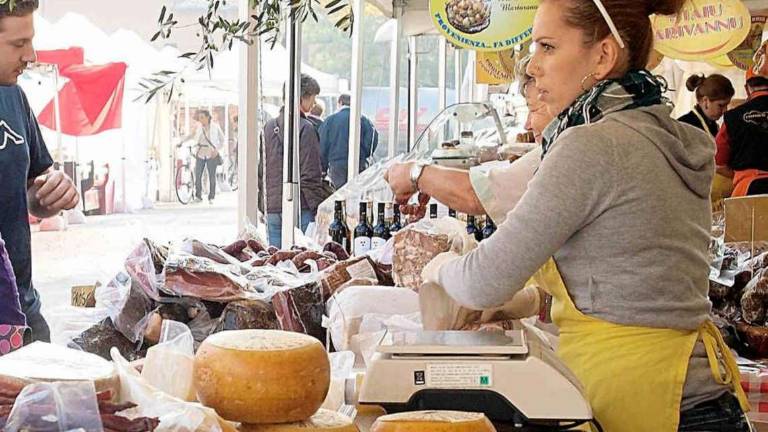 Imola, nuovi fondi per i produttori in collina