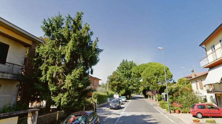 Ravenna, incidente: entra un'ape nell'auto, sbanda e travolge un 16enne