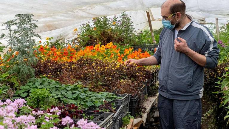 Erbe e fiori nel giardino degli chef