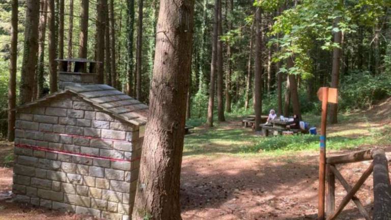 Forlì. Parco Foreste Casentinesi, superate le presenze del 2019
