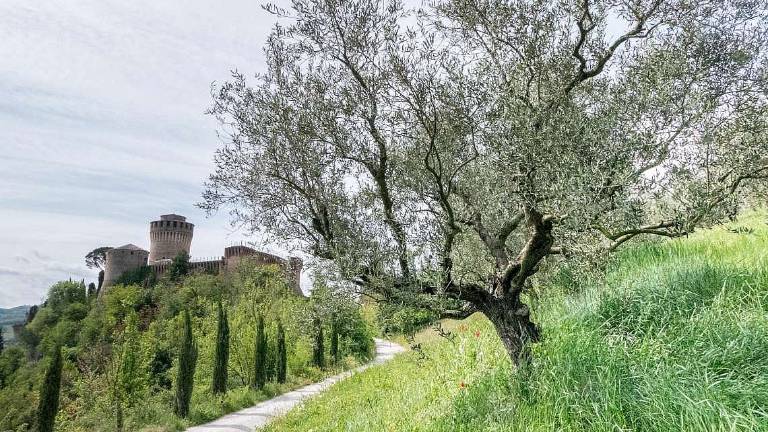 Brisighella Dop cambia veste per proteggere ancor più la qualità