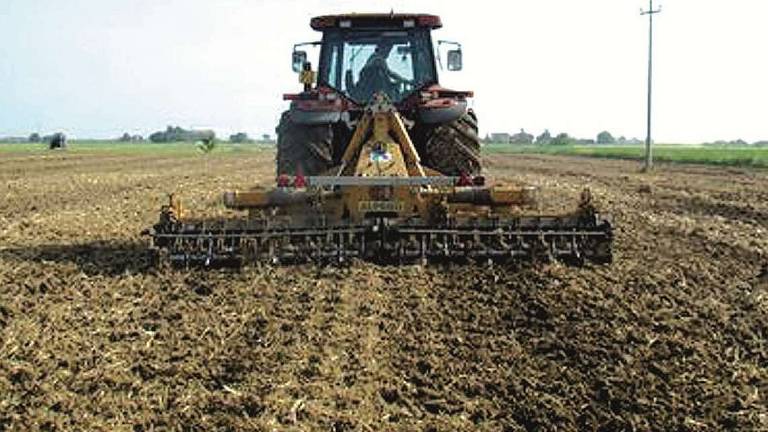 Cesena, l'agricoltura perde ancora aziende e produzioni