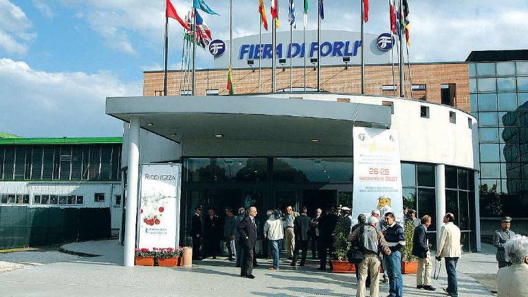 Forlì, Livia Tellus: i conti tornano