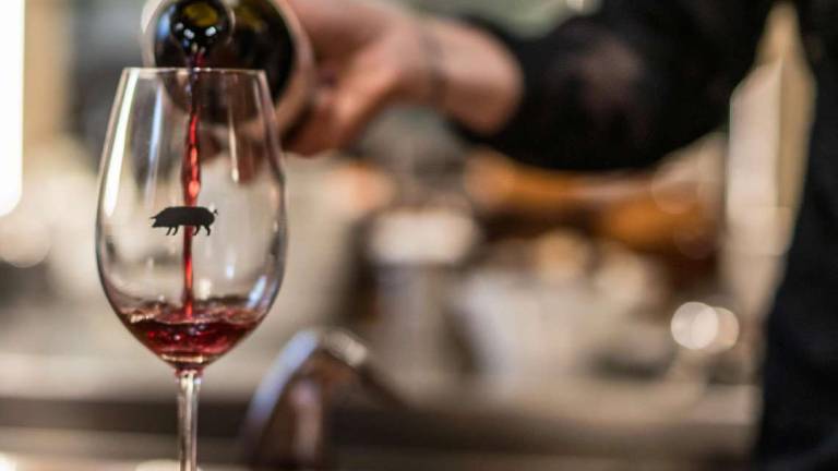 Alla scoperta del vino nella palestra di Casa Spadoni